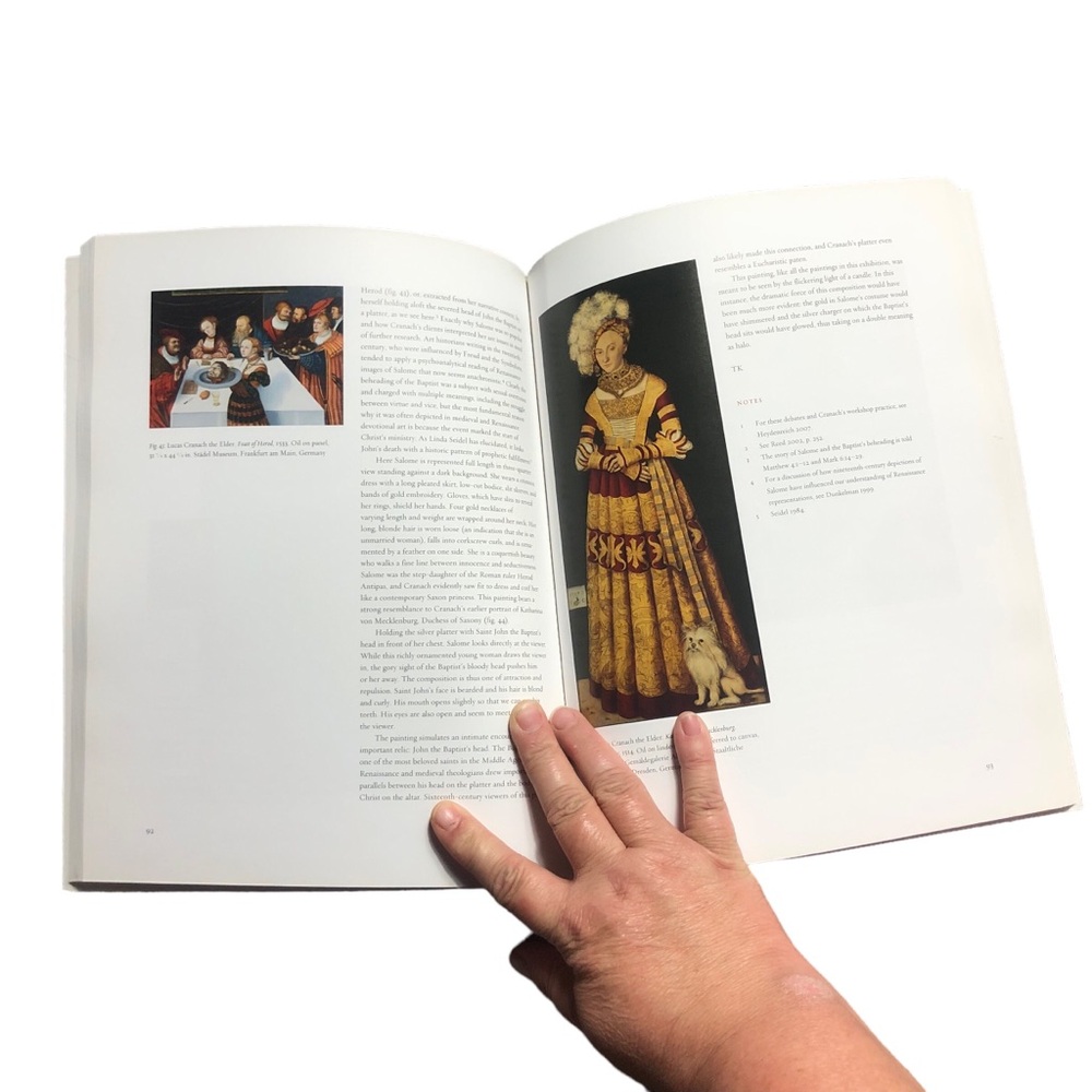 A Divine Light Northern Renaissance Painting Book - Picture 3 of 8